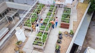 Desarrollan sustratos de cultivo ecológicos a partir de biorresiduos en Madrid