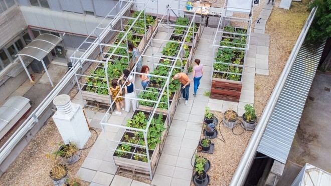 Desarrollan sustratos de cultivo ecológicos a partir de biorresiduos en Madrid