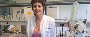 Investigación europea destaca los beneficios de la bellota en la salud