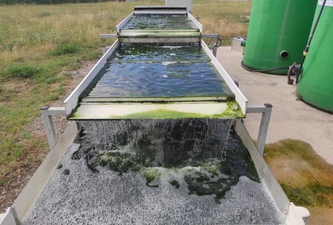 Desarrollan un reactor natural que mejora la depuración del agua en pequeñas plantas tratadoras