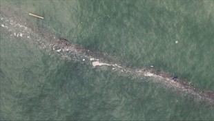 Sistema satelital en Andalucía predice llegada de basura al mar tras lluvias