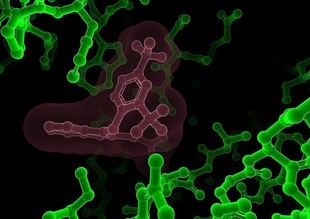 El CSIC facilita la iniciación en cristalografía macromolecular para investigadores