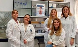 Estudio andaluz revela variaciones en la calidad nutritiva de las bebidas de soja