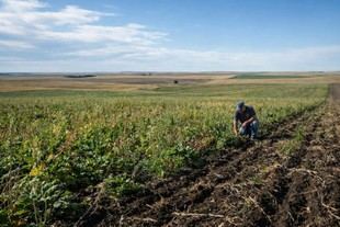 Nueva microcredencial en secuestro de carbono para especialistas en sostenibilidad agrícola