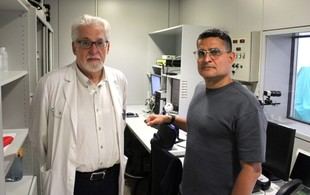 Grupos de investigación utilizan el Servicio de Resonancia Magnética de la ULL
