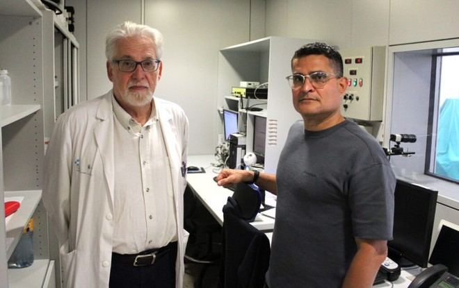 Grupos de investigación utilizan el Servicio de Resonancia Magnética de la ULL