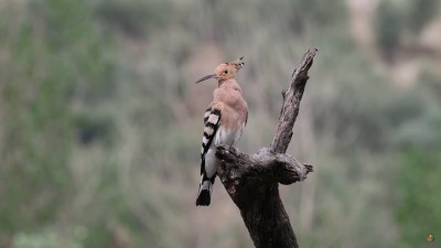 Documentales resaltan el valor de las zonas agrícolas para la biodiversidad