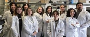 Investigadores desarrollan un método para reducir infecciones en implantes biomédicos usando quercetina