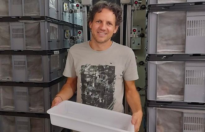 Técnica innovadora logra reducir en un 80% los mosquitos tigre en Valencia