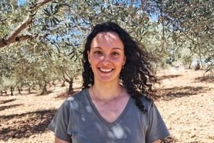 Premio AgroBank para una tesis sobre el control de la verticilosis en oliveras