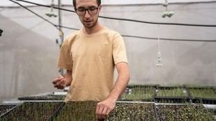 UNAL se posiciona como líder en producción científica en Colombia según el ranking Art-Sapiens 2026