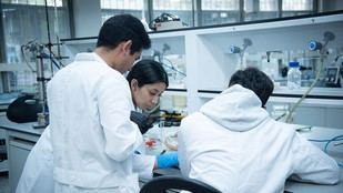 UNAL destaca en sostenibilidad entre las 50 mejores organizaciones de Colombia