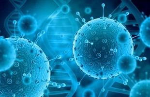 Anomalía inmunitaria vinculada a infecciones virales graves identificada por investigadores europeos