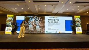 La Dra. Susana Cárdenas resalta la importancia de las alianzas marinas