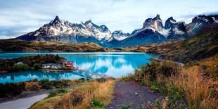 Universidad de Chile y Plan-C inician colaboración para capturar carbono en la Patagonia