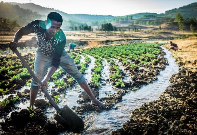 La Universidad de Manchester recibe £3 millones para mejorar el monitoreo de riego en África subsahariana