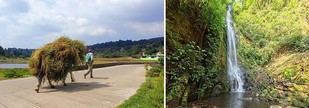 Urgente fortalecer la gestión ambiental en América Latina, afirma experto