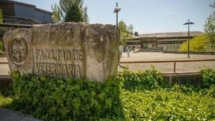 USC y Deputación de Lugo impulsan la formación en protección animal para investigadores