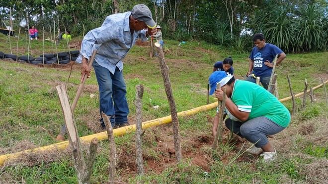 La USC se une a un proyecto internacional para restaurar suelos en Panamá