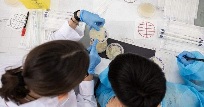 Vecinos de Alfara del Patriarca descubren microorganismos con propiedades antibióticas