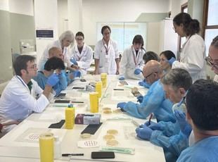 Massamagrell se une al proyecto "Pueblos con-Ciencia" de la Universidad CEU Cardenal Herrera para buscar nuevos antibióticos