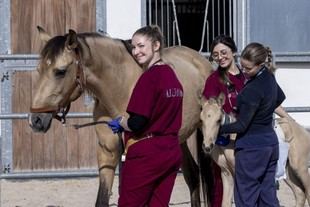 Veterinaria conmemora a su Patrón con actividades que fomentan el aprendizaje y la innovación
