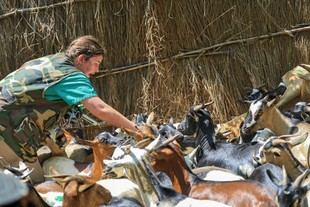 Vets for Africa realiza su octava misión en Malawi para mejorar el bienestar local