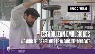 Investigación convierte residuos de aguacate en bioaditivo para emulsiones