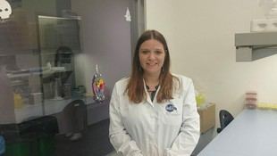 Descubren relación entre células inmunitarias del cerebro y la fertilidad