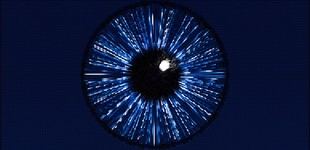 La conciencia en la inteligencia artificial: un dilema sin respuesta clara según filósofo de Cambridge