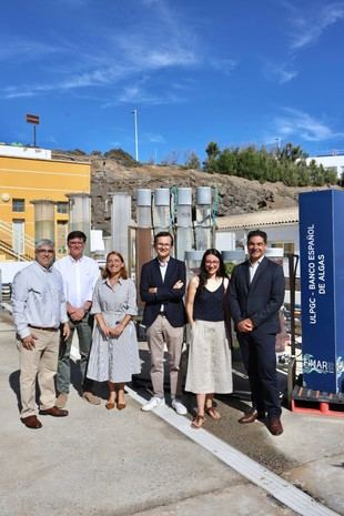 Lanzan el primer caldo vegetal con algas en colaboración con la ULPGC