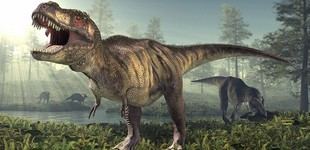 Evolución de los brazos pequeños en dinosaurios carnívoros como el T. rex