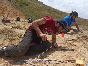 Descubren en Zamora el esqueleto más completo de un cocodrilo terrestre en Europa